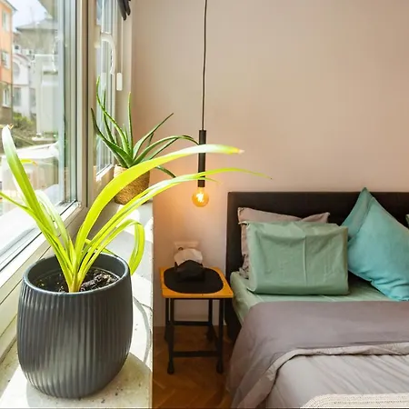 Downtown Boutique ソフィア